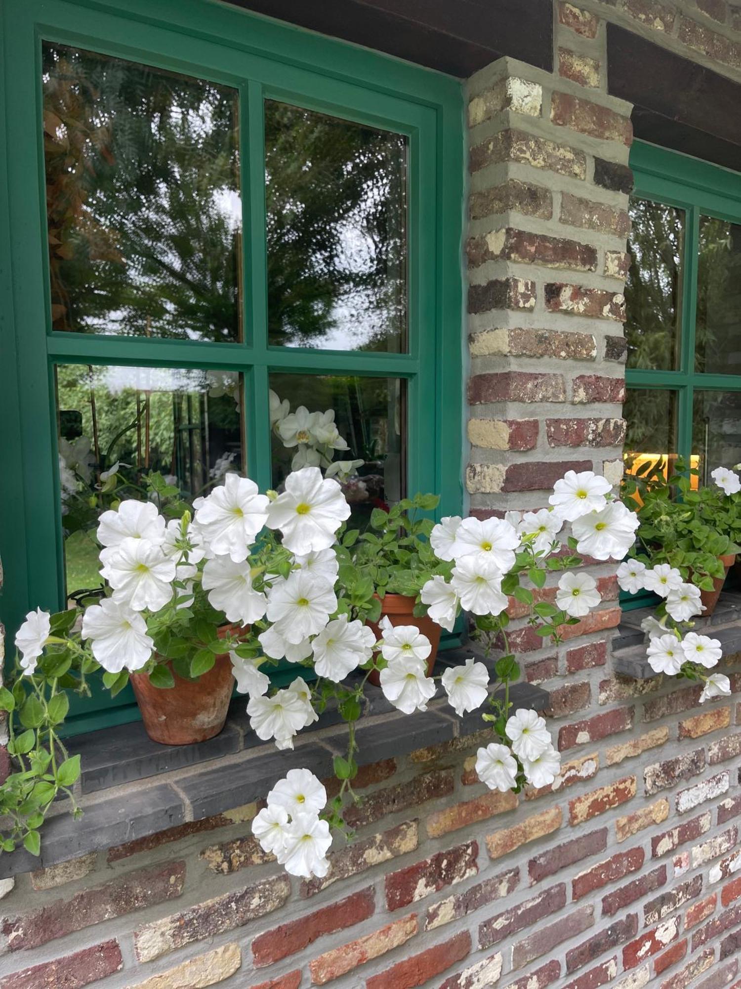 Ma Campagne Bed and Breakfast Heusden Exterior foto